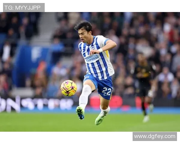 2017年狼队与布莱顿激战回顾精彩瞬间与战术分析